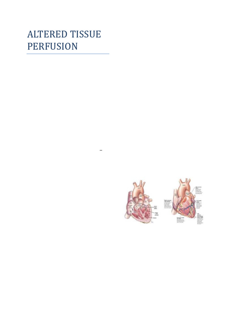 Acute Ischemic Heart Disease Overview | PDF | Myocardial Infarction | Heart