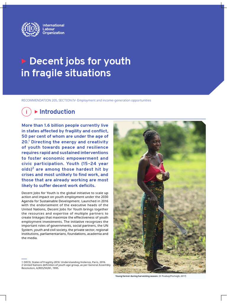 Youth Employment in Fragile States | PDF | Unemployment | Employment