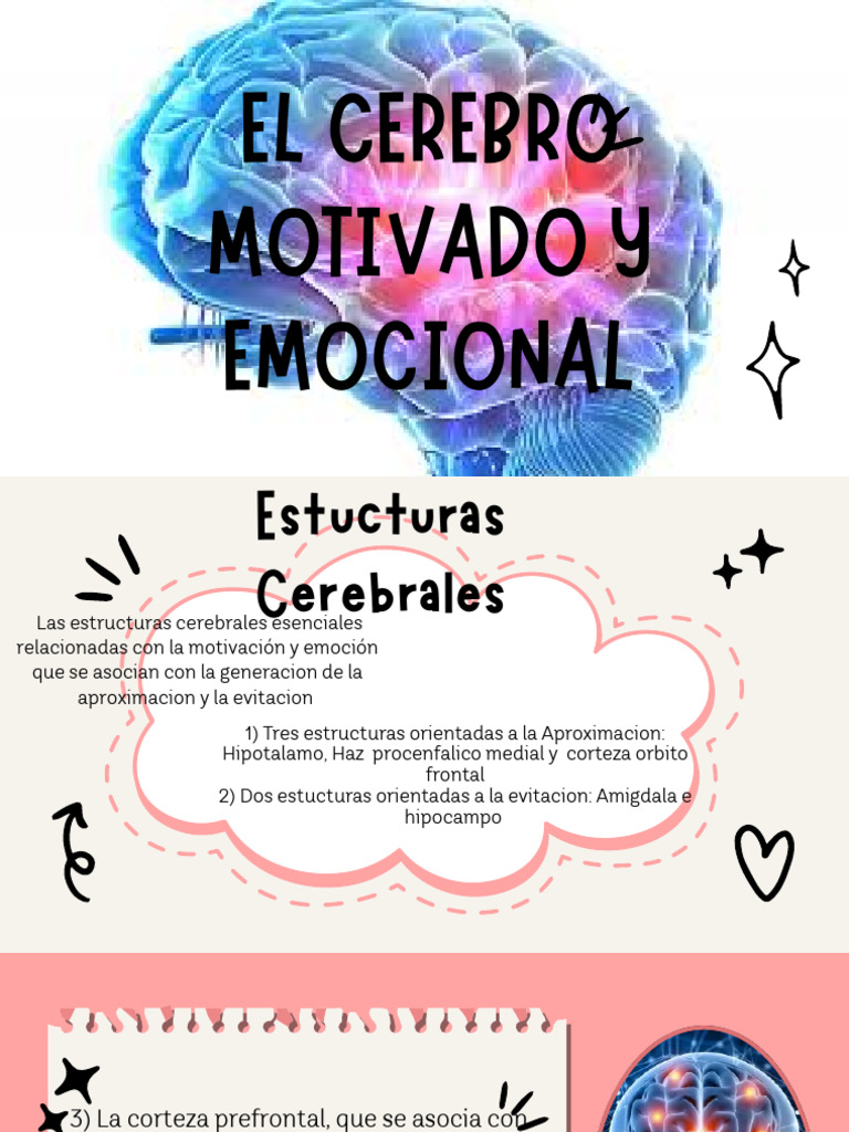 El Cerebro Motivado y Emocional | PDF | Las emociones | Sistema límbico