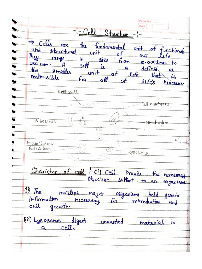 Botany Notes 1 Unit | PDF