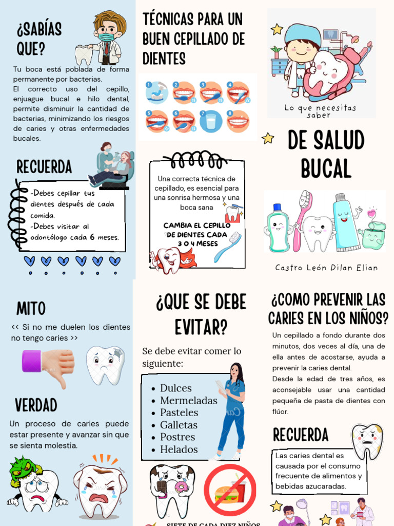 Folleto Salud Bucal Pdf Diente Humano Odontología