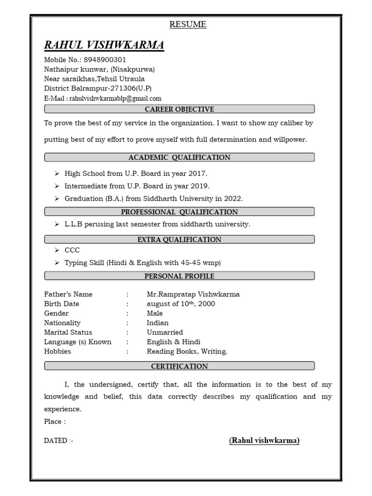 Rahul Vishwkarma Resume Summary | PDF