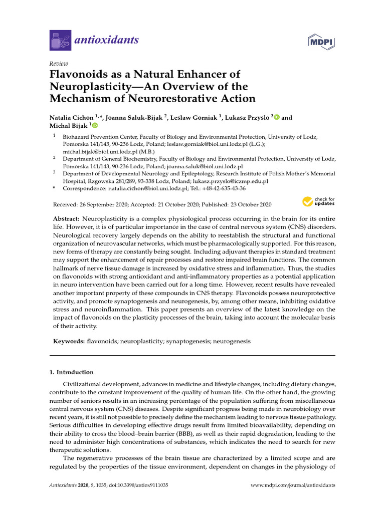 2020 - Flavonoids as a Natural Enhancer of Neuroplasticity—an Overview ...