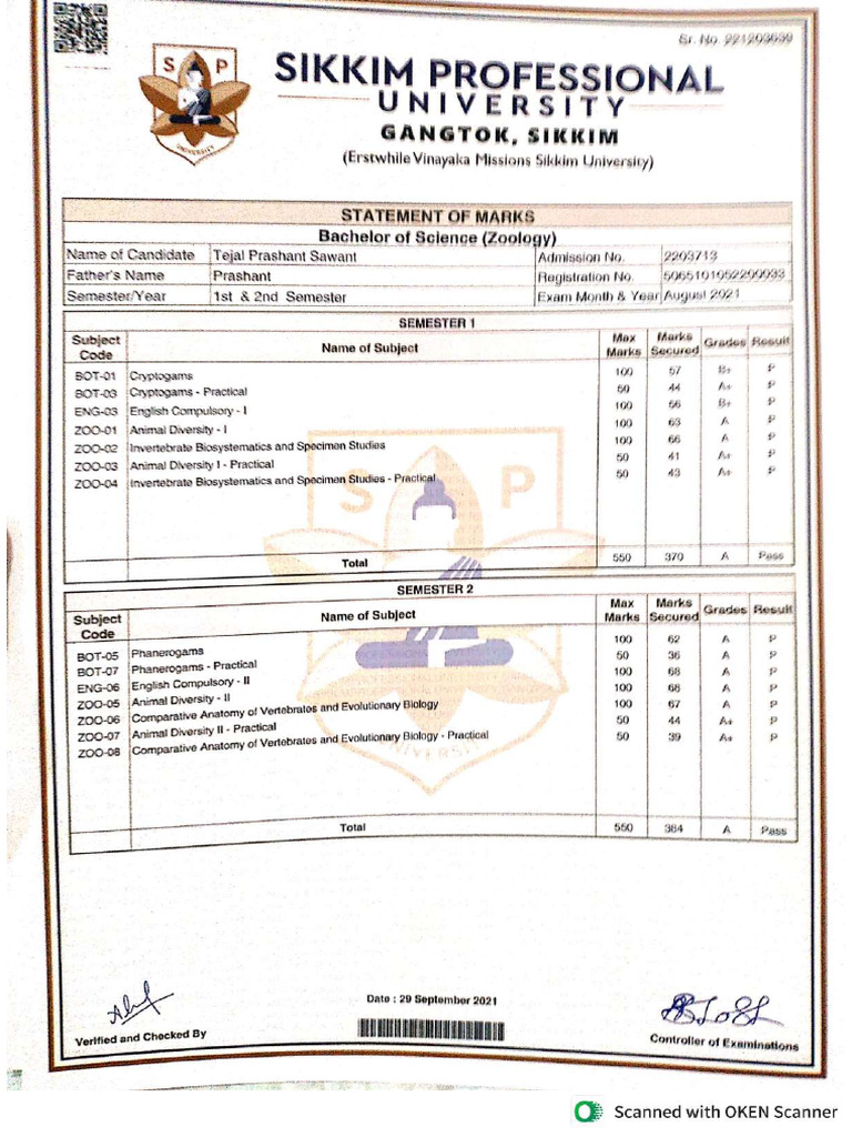 Graduation | PDF