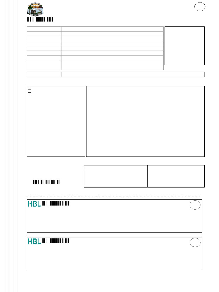 Form Duplicate 2474001580 | PDF | Government And Personhood