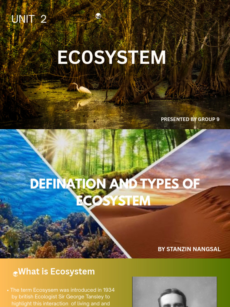 Brown and White Simple Ecosystem Presentation - 20250926 - 112955 ...