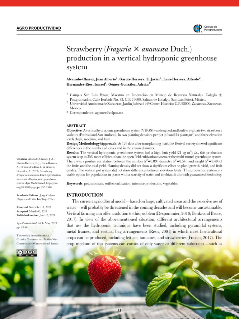 Strawberry Fragaria X Ananassa Duch Production in | PDF | Hydroponics ...