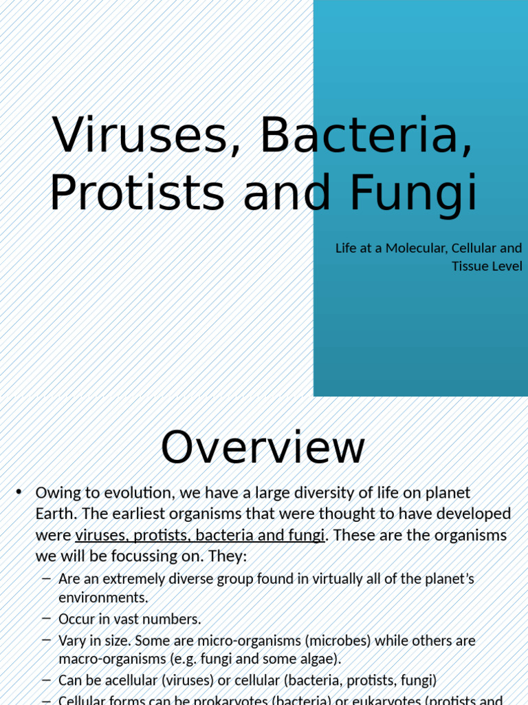 Microorganisms: Viruses and Bacteria Overview | PDF | Virus | Tuberculosis