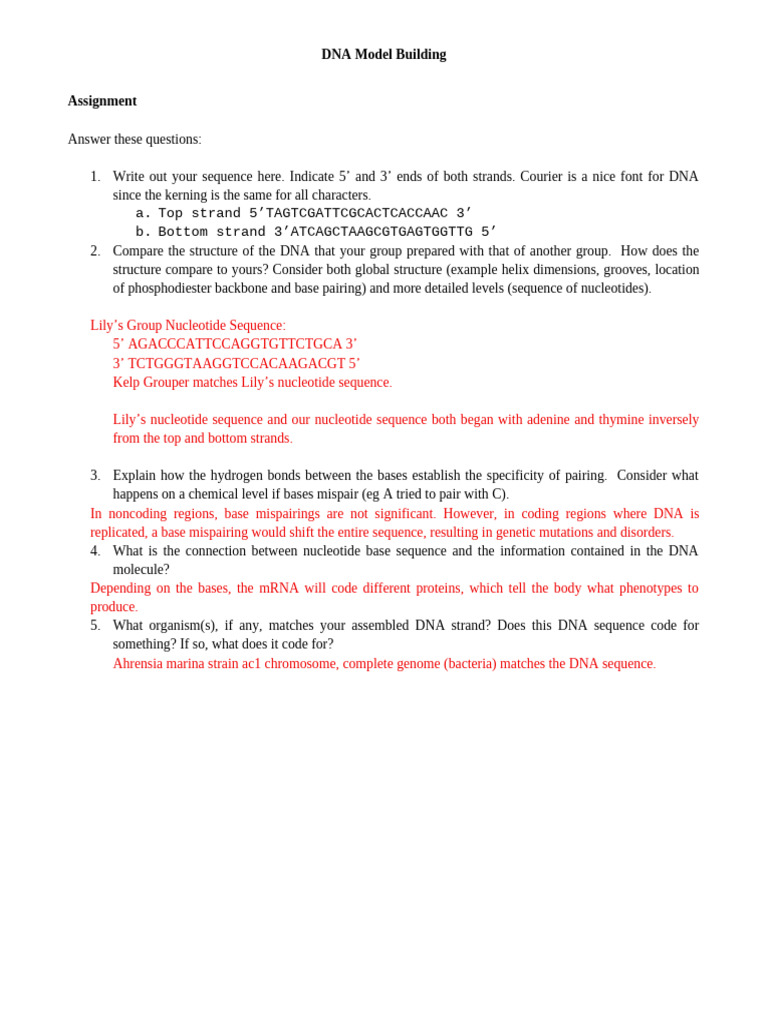 Assignment Dna Model Building 25fl | PDF