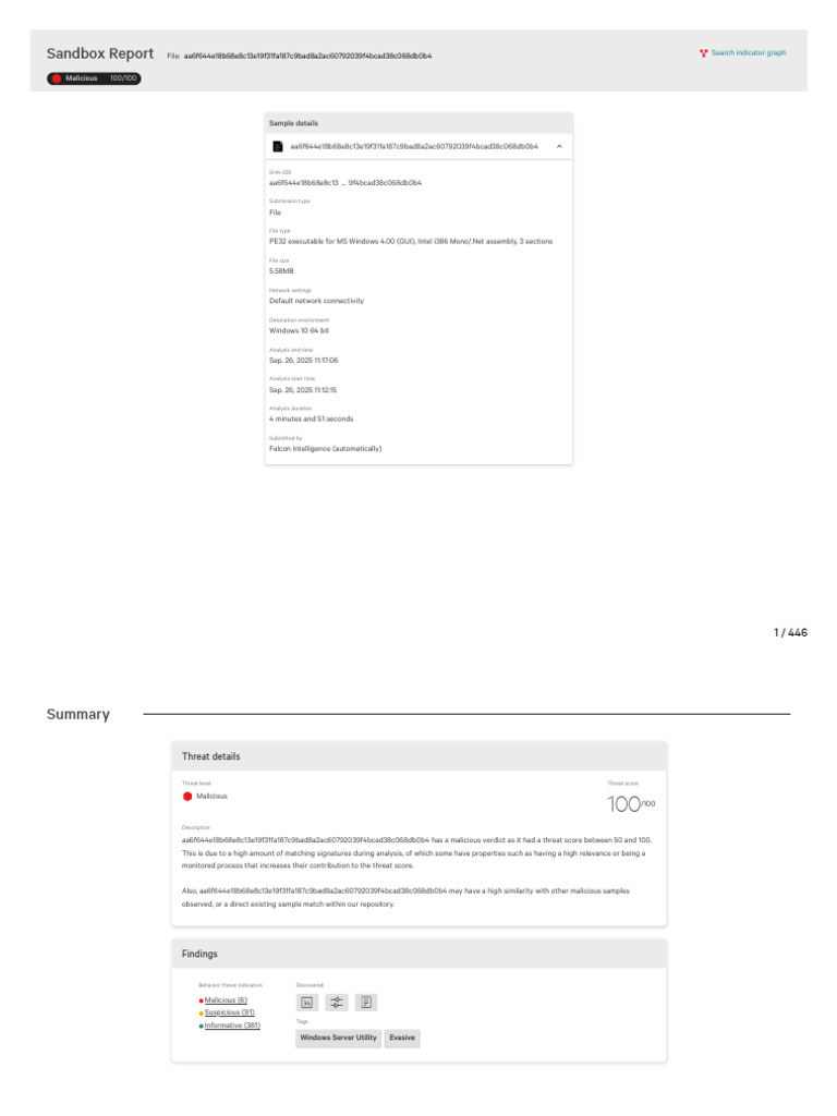 Malicious Sandbox Report Analysis | PDF | Public Key Cryptography | Web ...