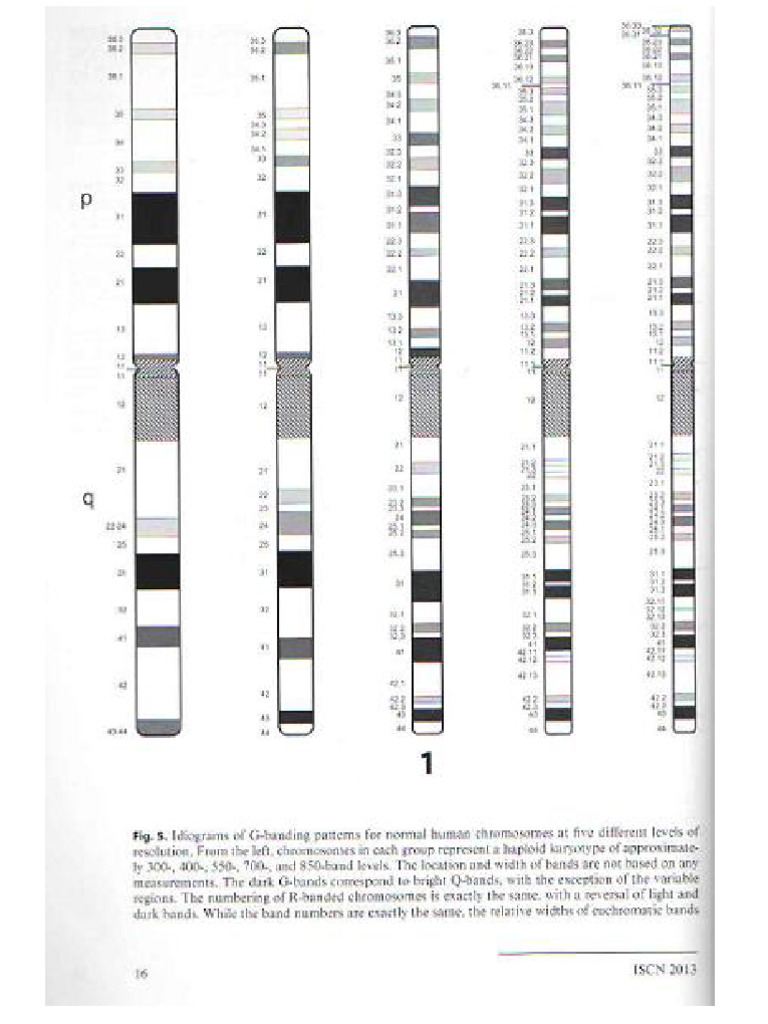 ISCN | PDF