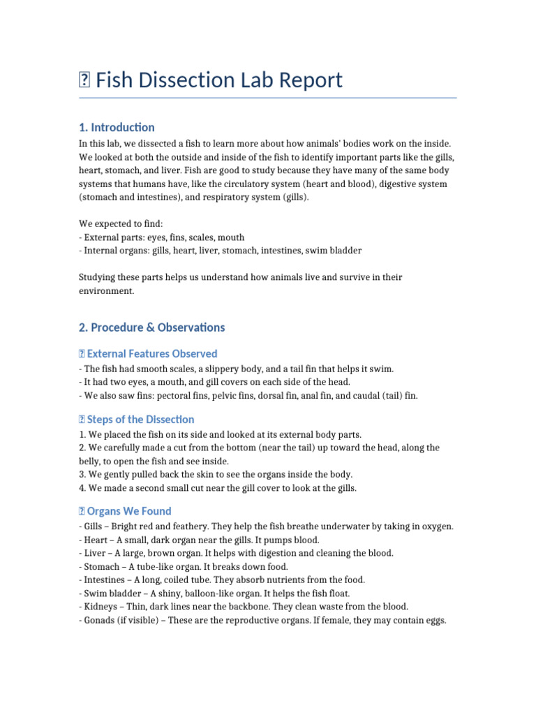 Fish Dissection Lab Report Insights | PDF | Fish | Gill