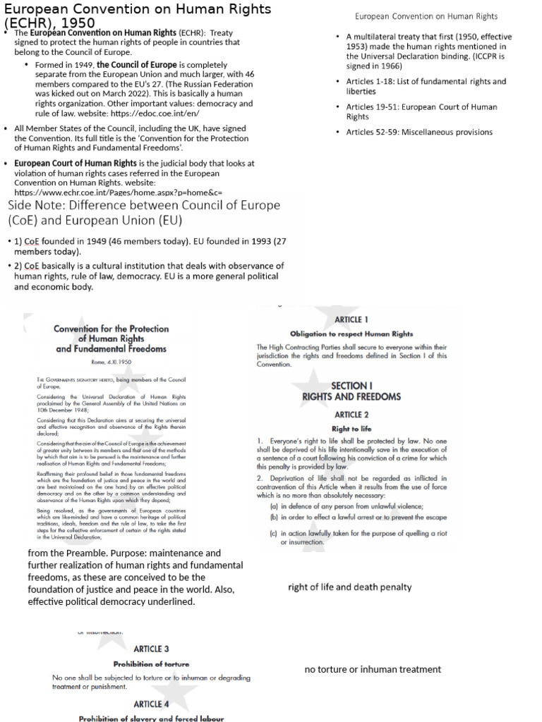 Documents Condensed 2 | PDF | European Convention On Human Rights ...