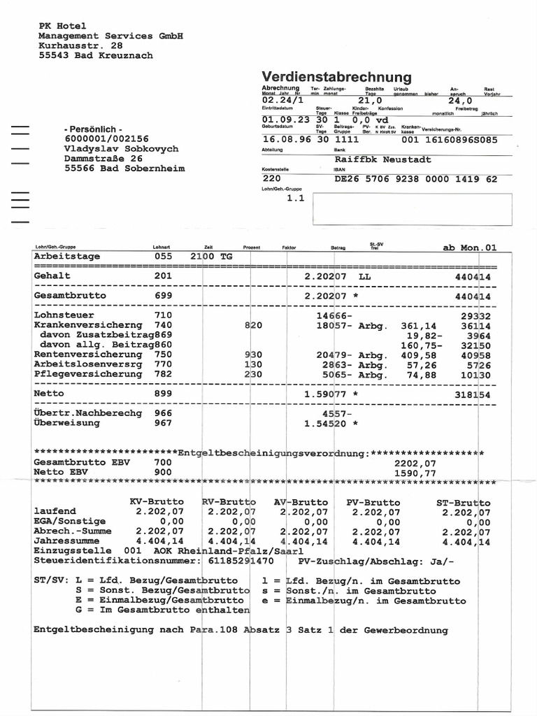 Vlad Lohnscheine1 | PDF