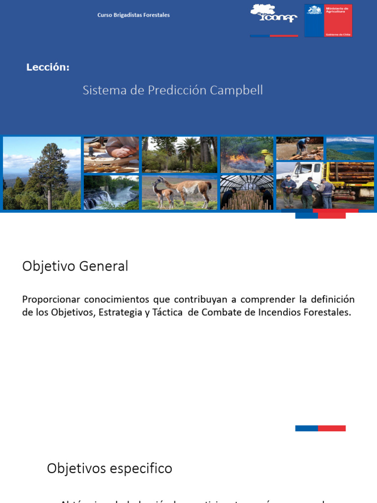 Sistema de Predicción Campbell en Incendios | PDF | Herida | Incendios
