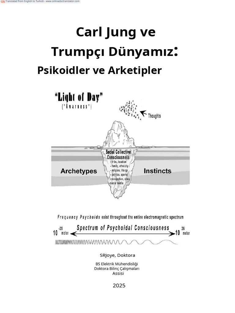 Carl Jung Ve Trumpian Dünyamız PDF