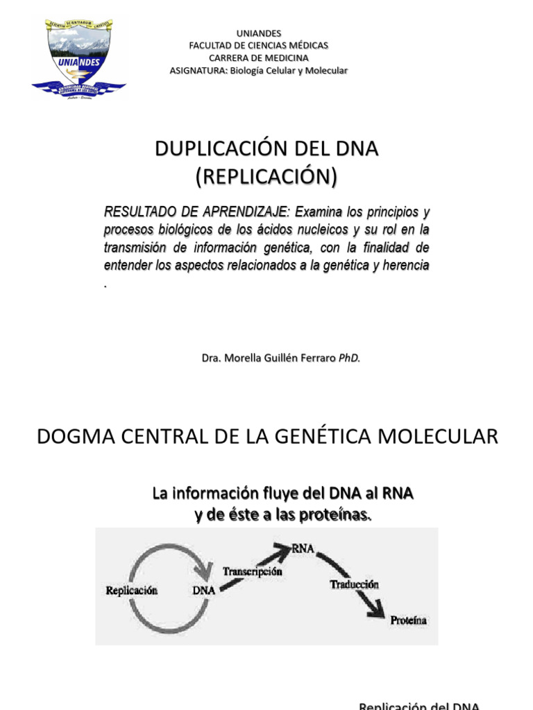 Replicación del ADN: Proceso y Mecanismos | PDF | Replicación De Adn | Adn