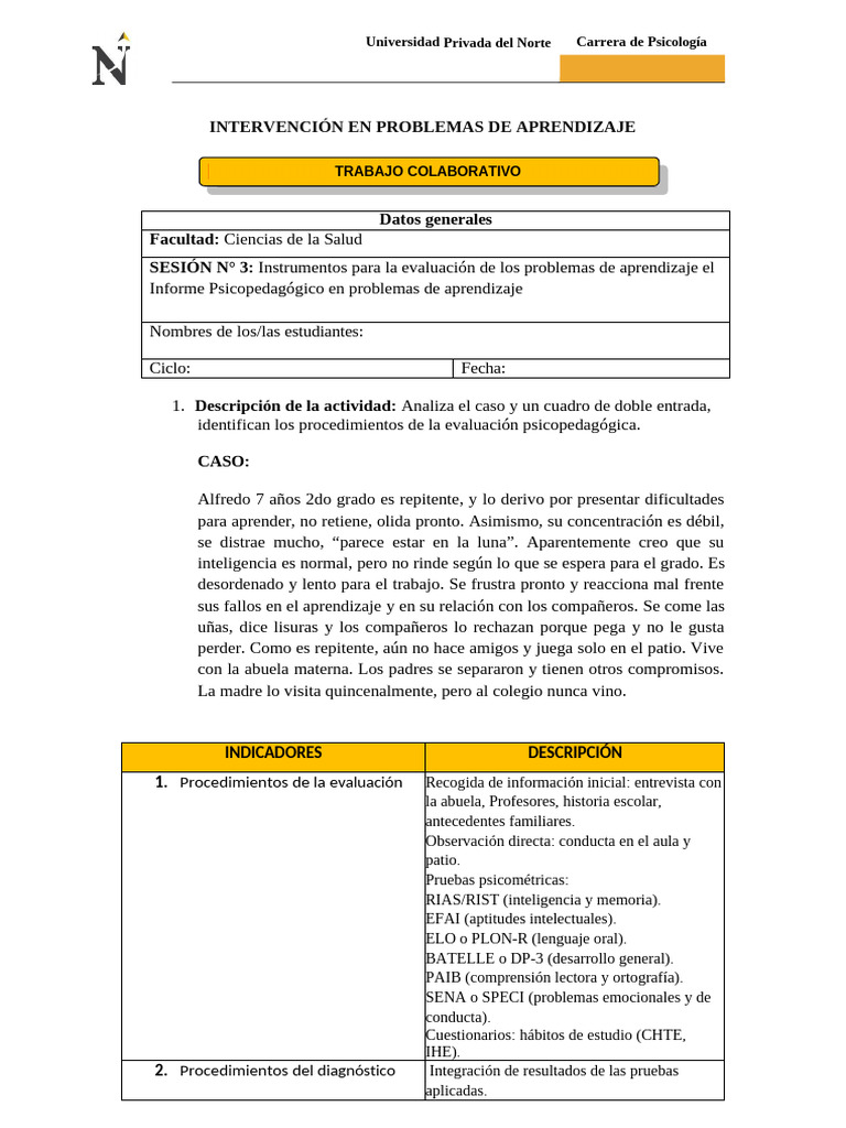 Evaluación Psicopedagógica en Aprendizaje | PDF | Aprendizaje | Plan de ...