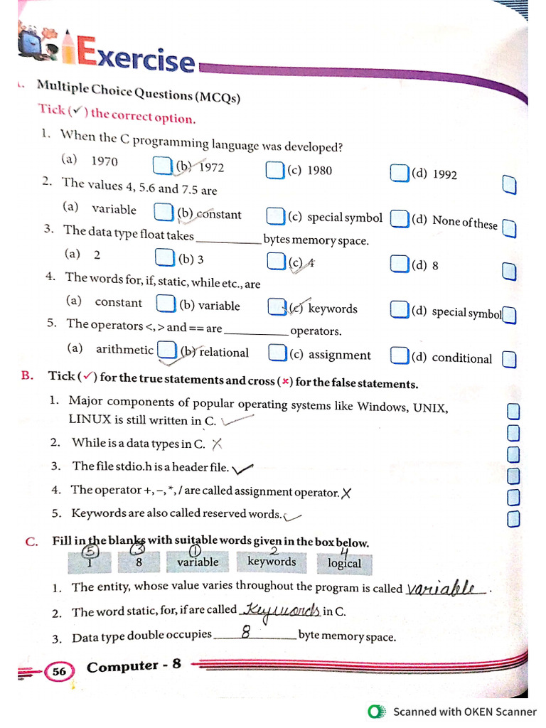Class VIII Computer | PDF