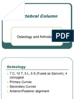 Vertebral Column: Osteology and Arthrology