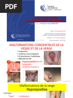 Exstrophie vésicale et épispadias : Guide | PDF | Vessie | Appareil ...