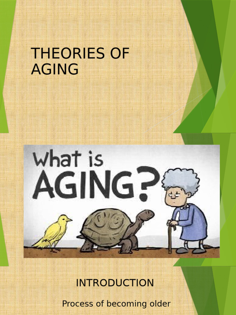 Lesson 4 Theories of Aging Fadia Edries | PDF | Old Age | Ageing
