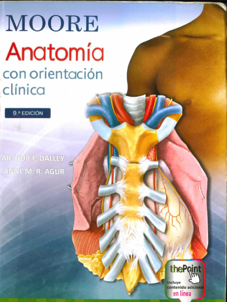 Anatomia Con Orientacion Clinica Moore 9na 2 | PDF
