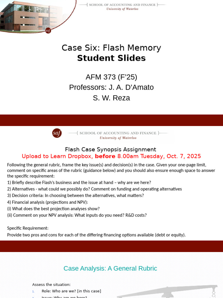 Flash Memory Case Analysis Overview | PDF | Net Present Value | Equity ...