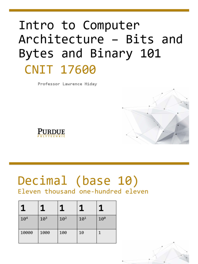 Computer Architecture: Bits and Bytes | PDF