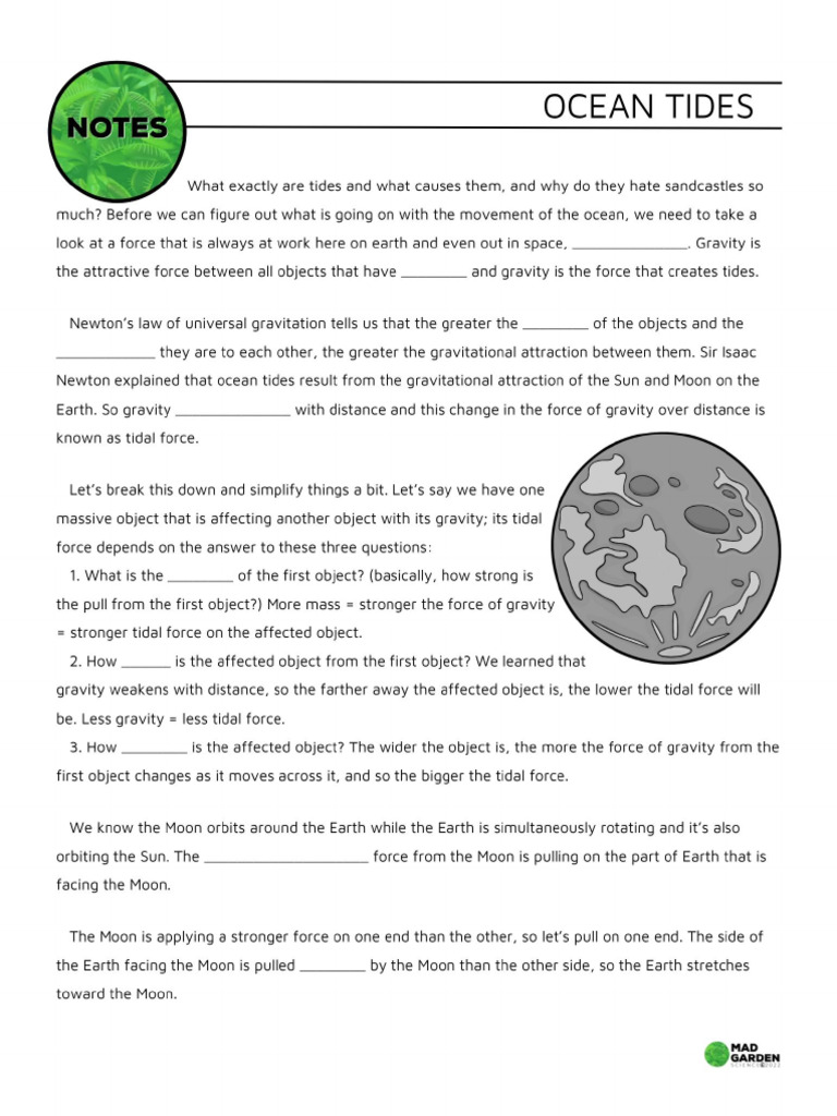 Understanding Ocean Tides and Gravity | PDF | Tide | Moon