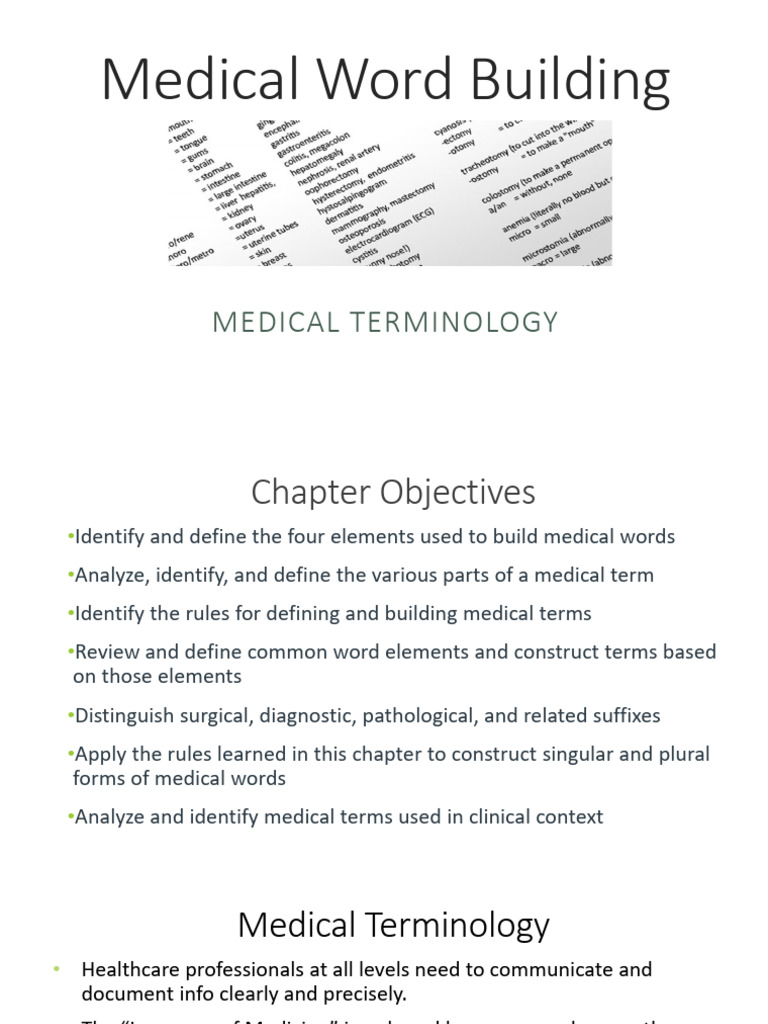 CH 1 Medical Word Building Notes 2022 | PDF | Word | Grammatical Number