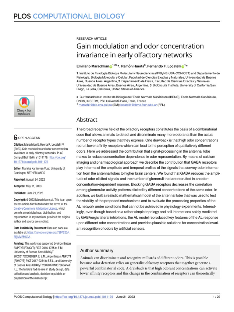 Gain Modulation and Odor Concentration Invariance in Early Olfactory ...