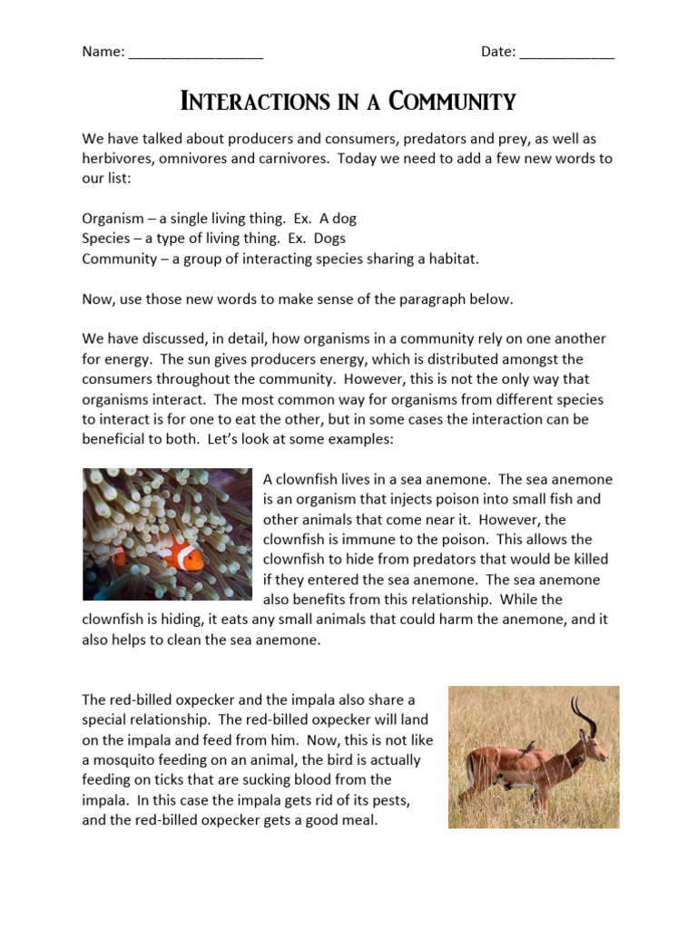 Community Interactions in Ecology | PDF