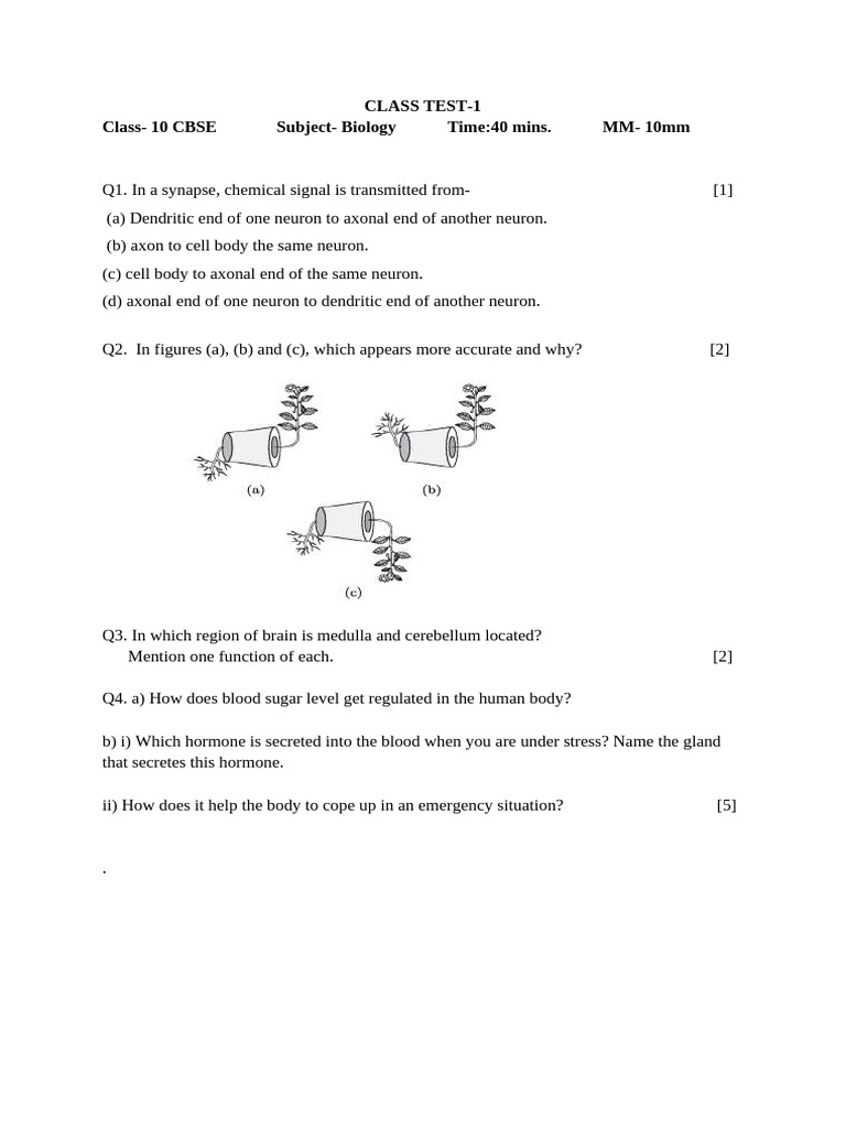 Class Test - 1 | PDF