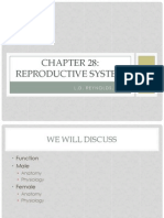Ch. 28 Reproductive Part I