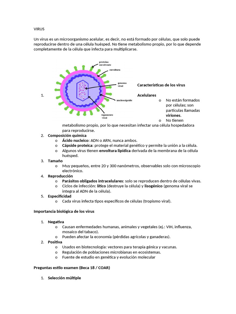 Características y funciones de los virus | PDF | Virus | Las bacterias
