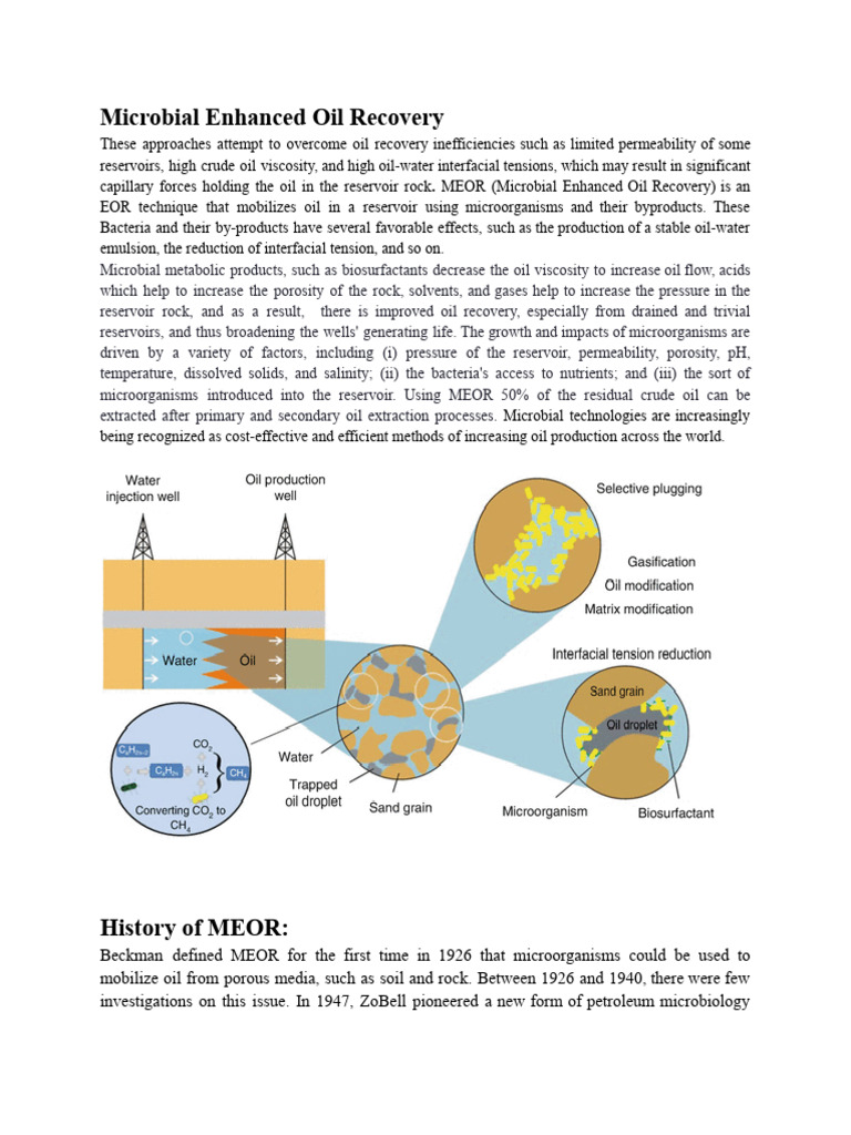 Microbial Enhanced Oil Recovery | PDF | Enhanced Oil Recovery ...