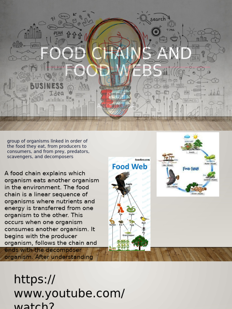 Food Chains and Food Webs | PDF