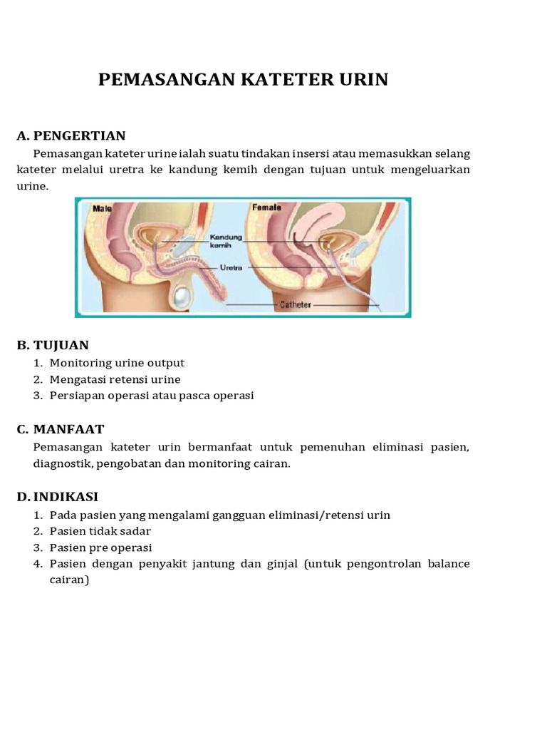 Panduan Pemasangan Kateter Urin | PDF