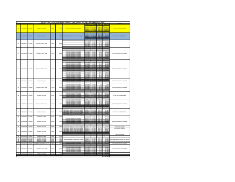 September 2025 Batch Sales Summary | PDF | Financial Economics ...