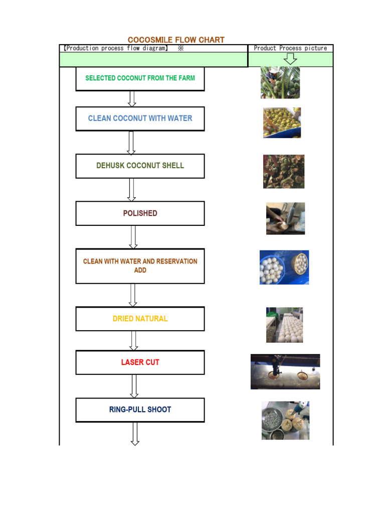 Coconut Processing Flow Chart | PDF