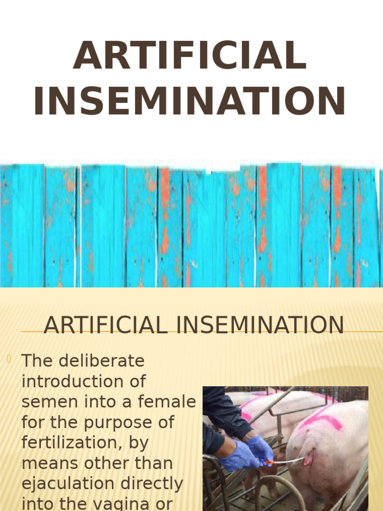 Guide to Artificial Insemination Techniques | PDF | Semen | Male Mammals