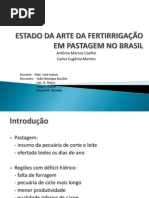ESTADO DA ARTE DA FERTIRRIGAÇÃO EM PASTAGEM NO