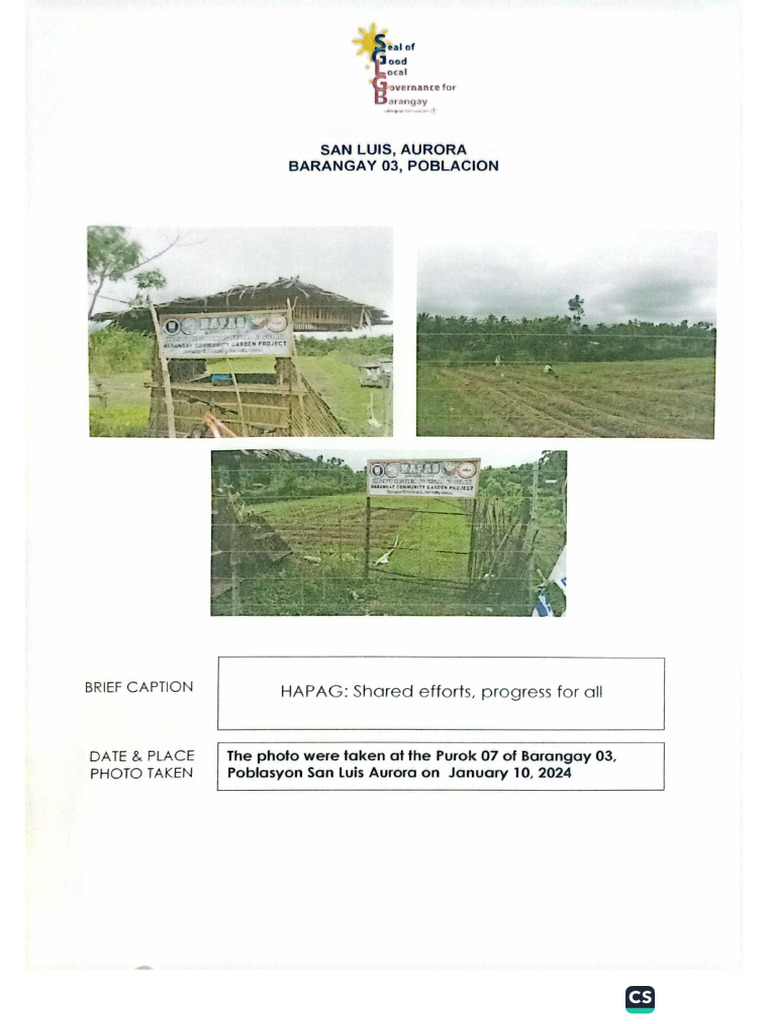 HAPAG | PDF