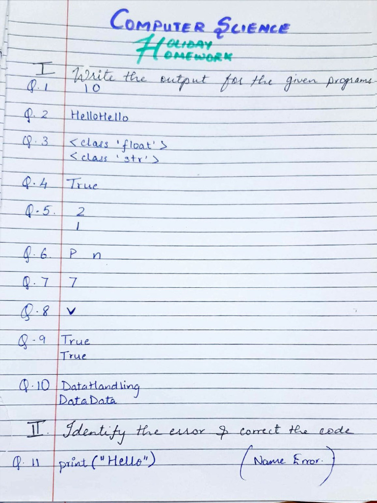 Computer SC Holiday Homework | PDF