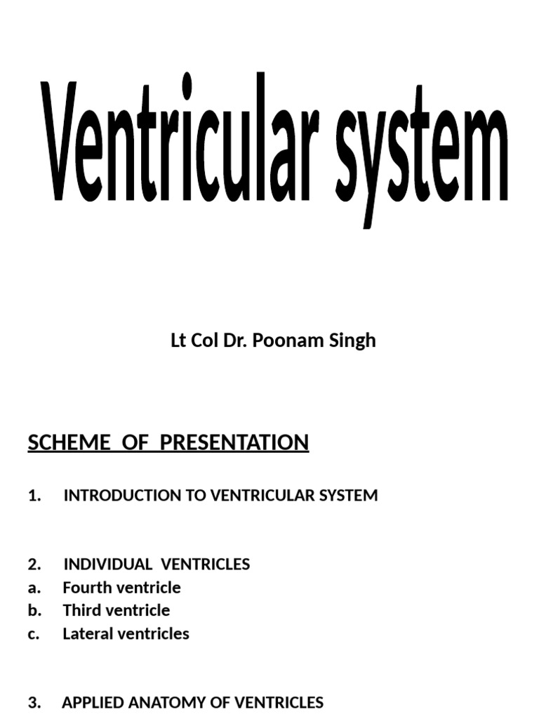 Anatomy of the Brain's Ventricular System | PDF | Cerebrospinal Fluid