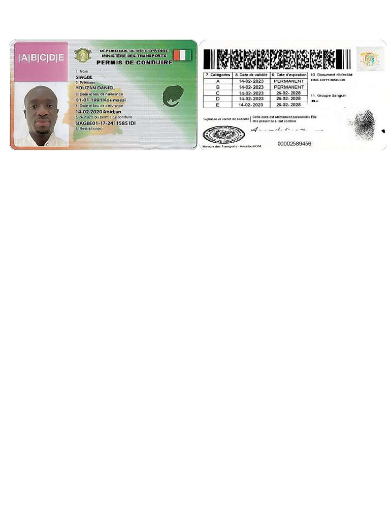 Permi PDF | PDF