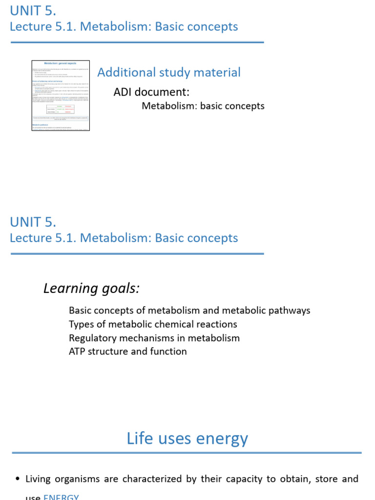 Metabolism: Key Concepts and Pathways | PDF | Metabolism | Metabolic ...