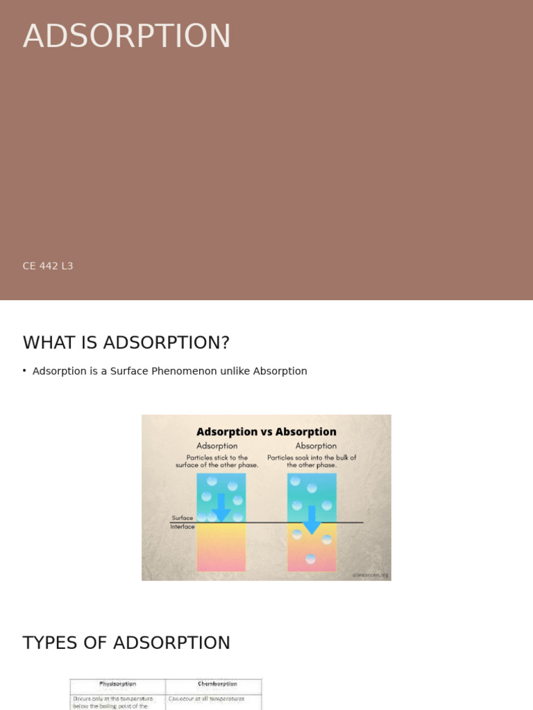 Adsorption | PDF