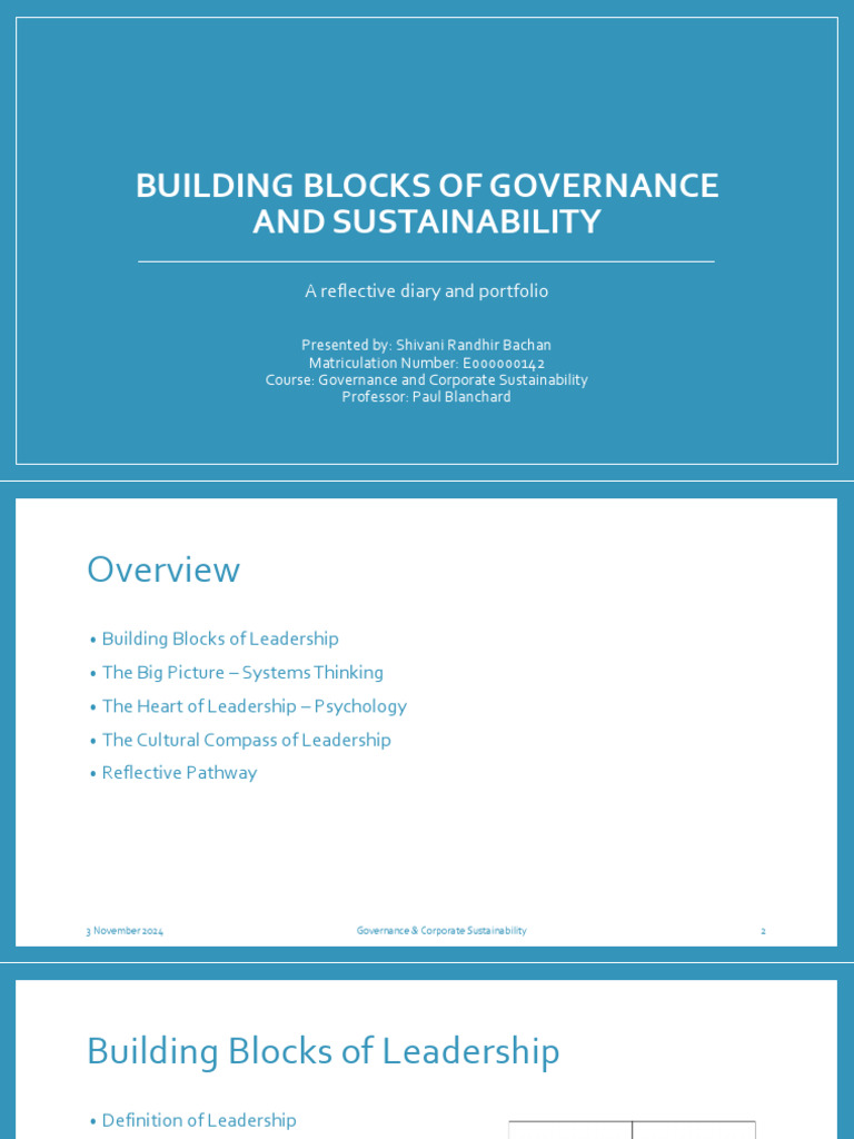 Governance and Sustainability Insights | PDF
